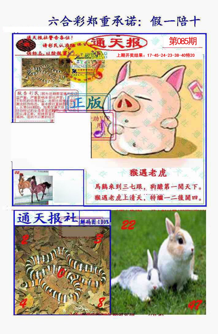 085期假一陪十通天报[图]