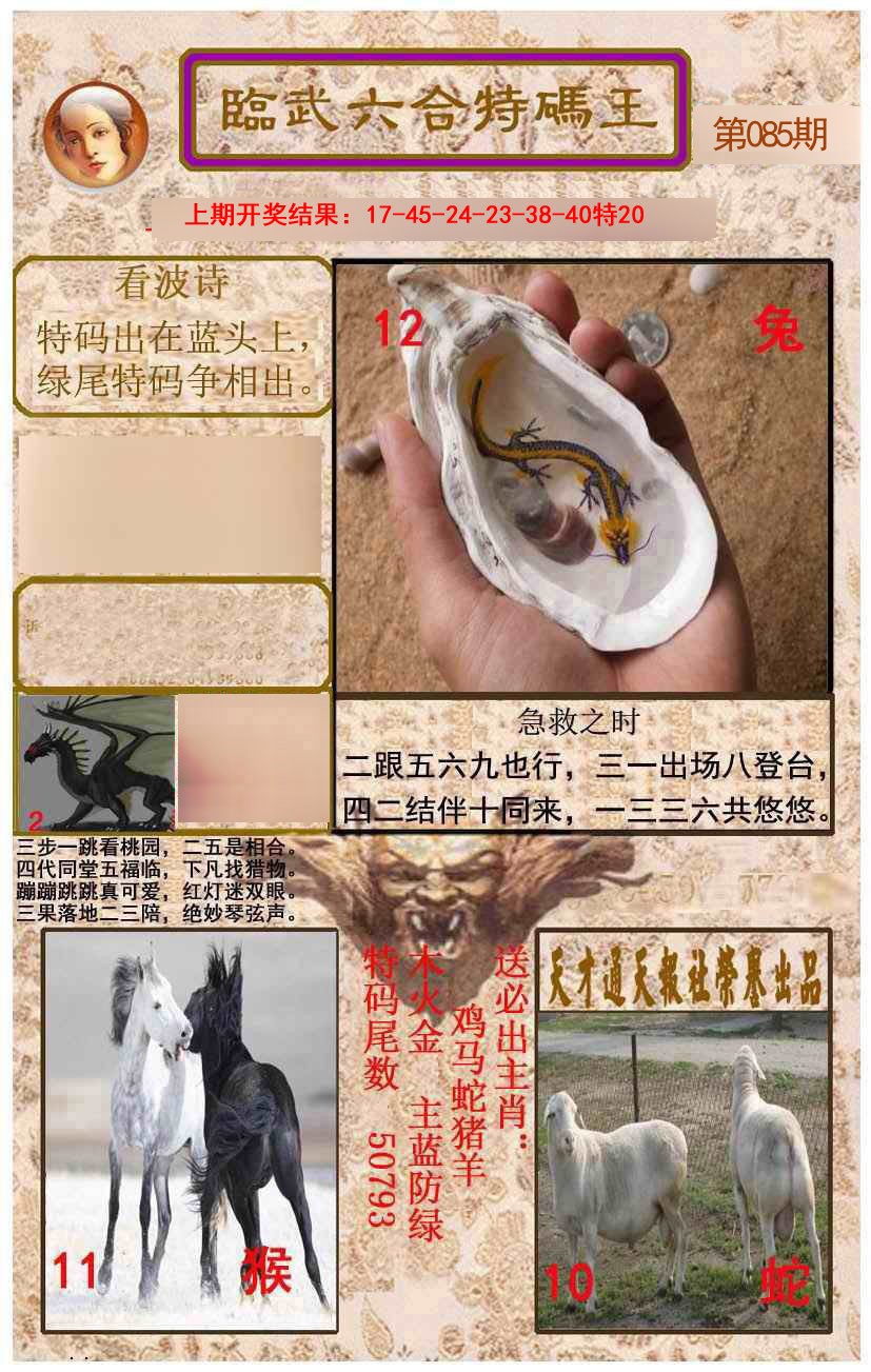 085期临武六合特码王[图]