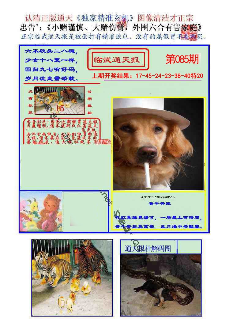 085期临武通天报[图]