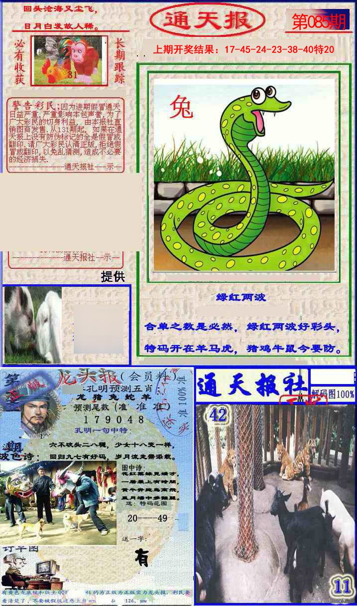 085期实力通天报[图]