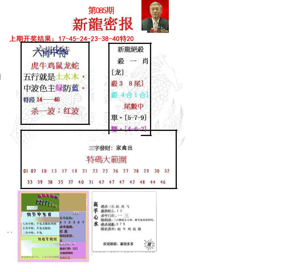 085期新龙密报[图]