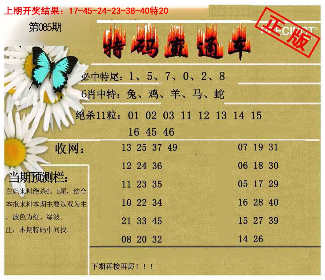 085期特码直通车[图]