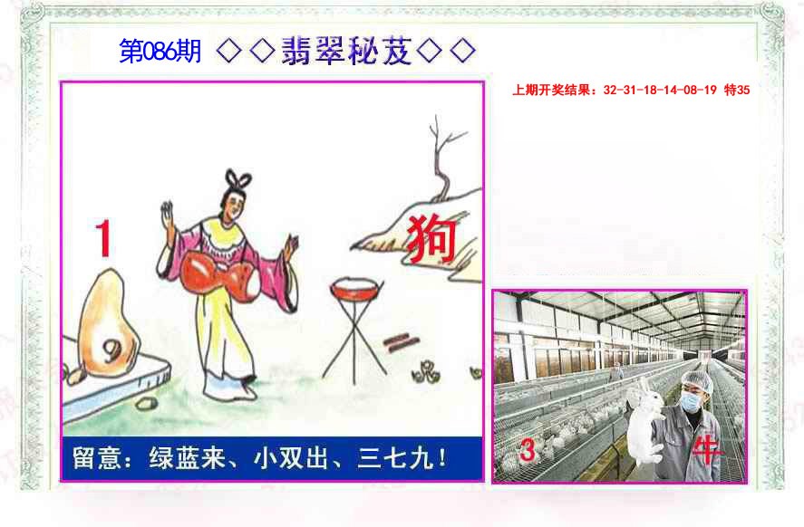 086期翡翠报[图]