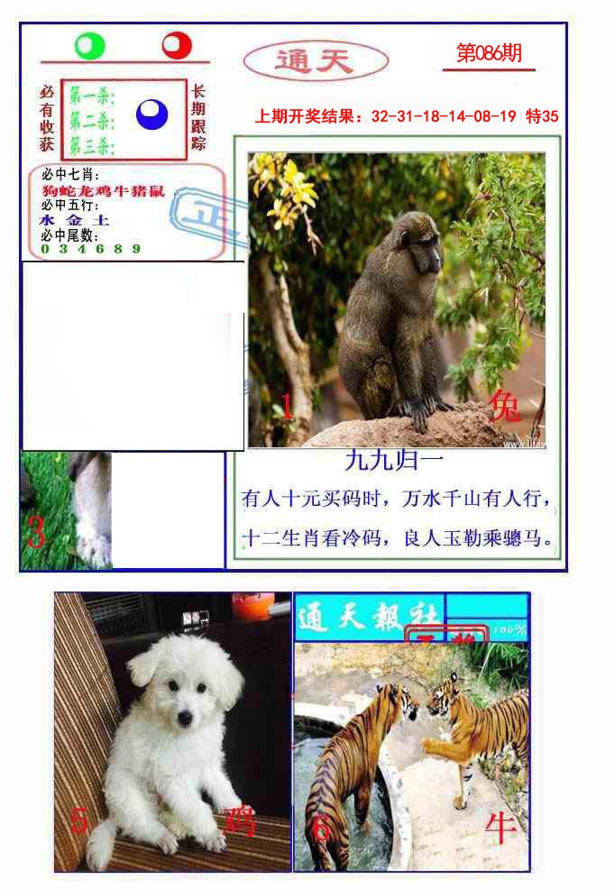 086期通天杀波图2[图]