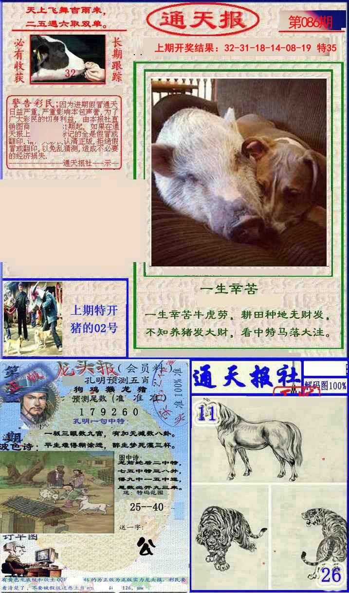 086期实力通天报[图]