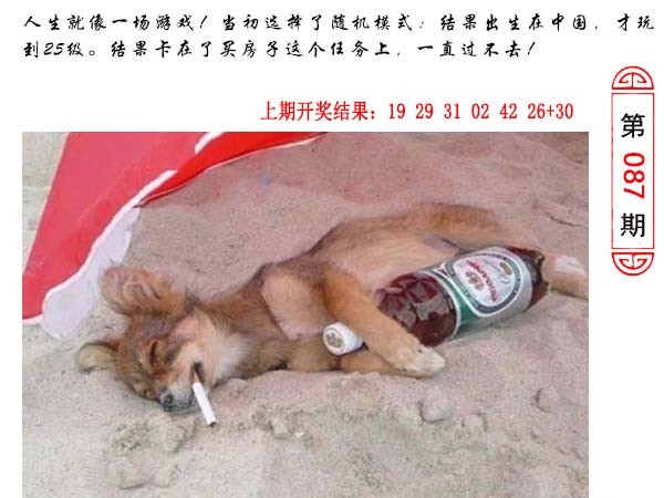 087期澳门生活幽默[图]