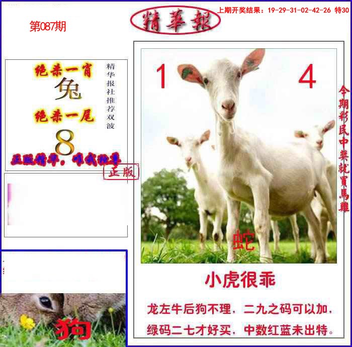 087期新精华报报[图]