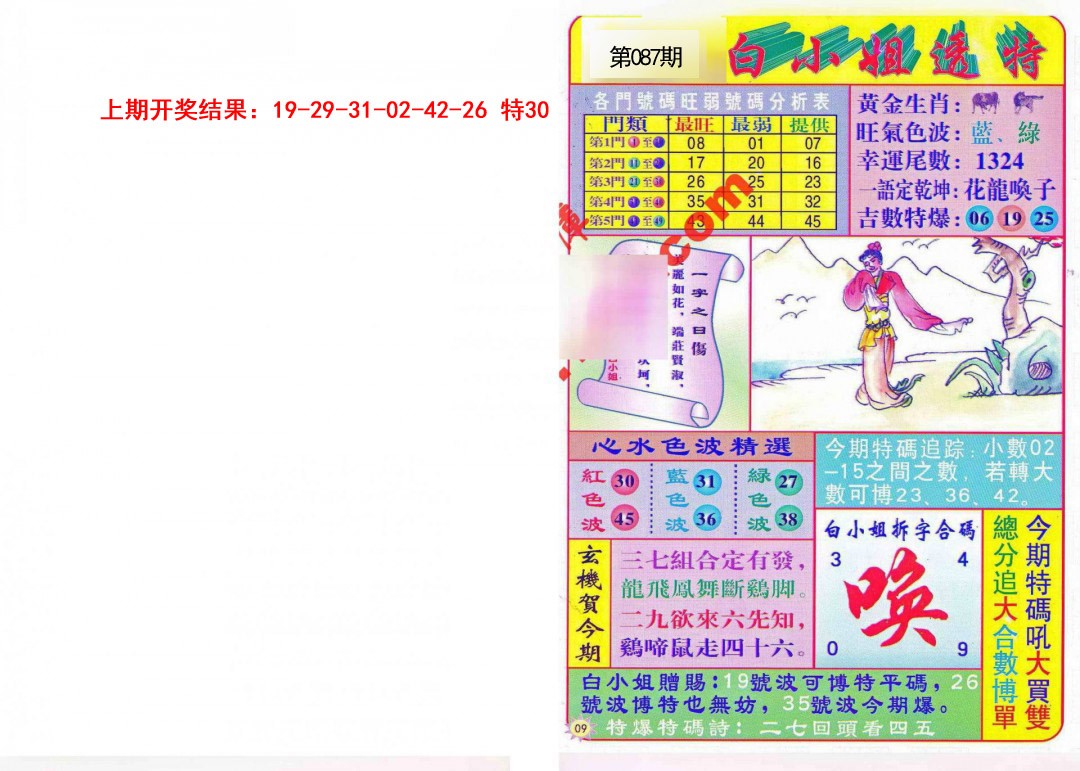 087期白小姐透特[图]