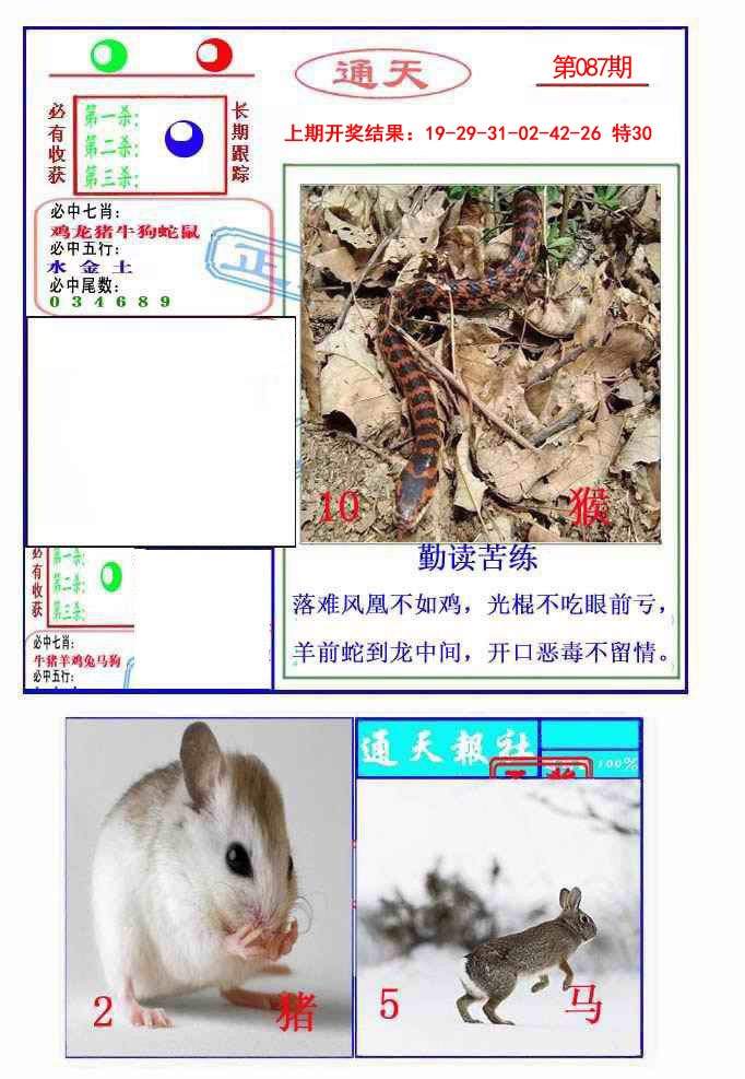 087期通天杀波图2[图]