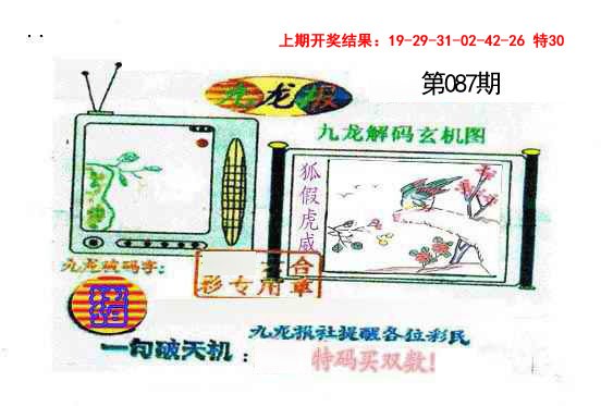 087期九龙报[图]
