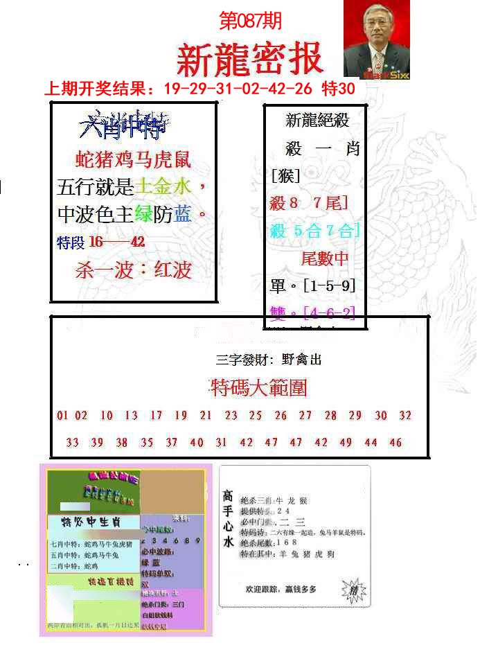 087期新龙密报[图]