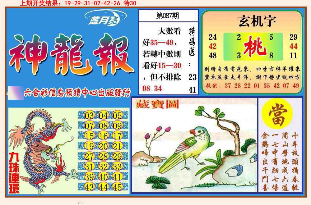 087期神龙报[图]
