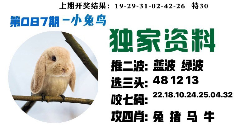 087期小兔鸟[图]