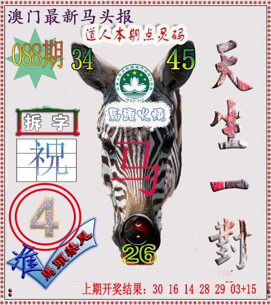 088期马头报[图]