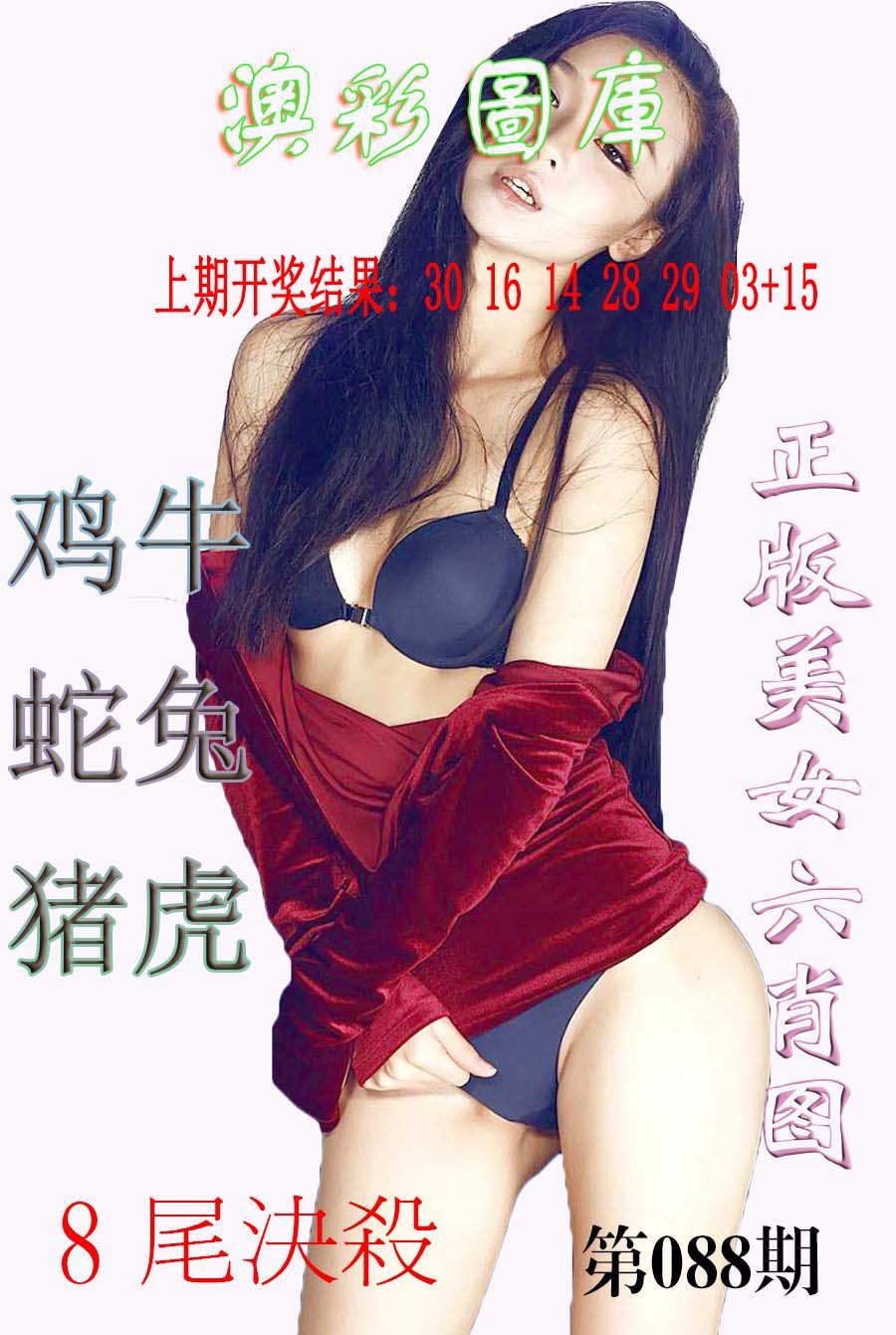 088期美女六肖图-1[图]