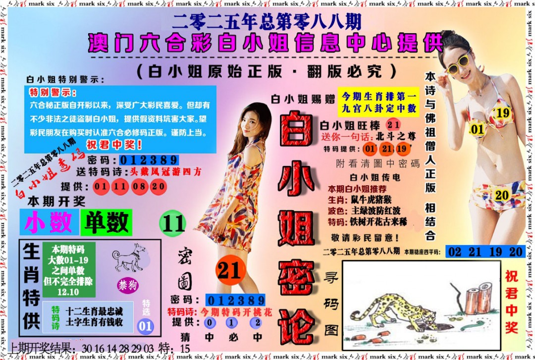 088期白小姐密论[图]