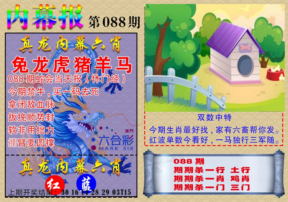 088期真龙内幕报[图]