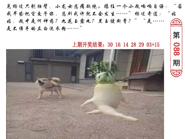 088期澳门生活幽默[图]