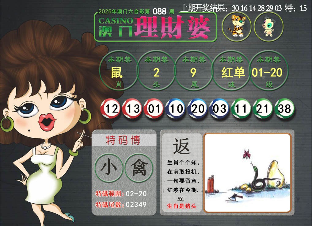 088期澳门理财婆[图]