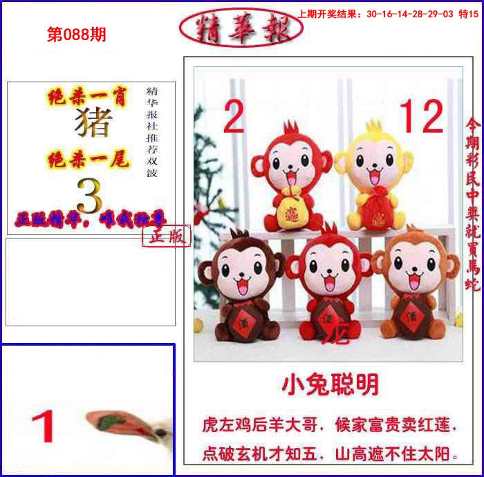 088期新精华报报[图]