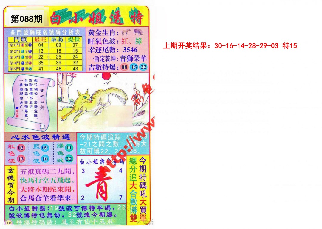 088期白小姐透特[图]