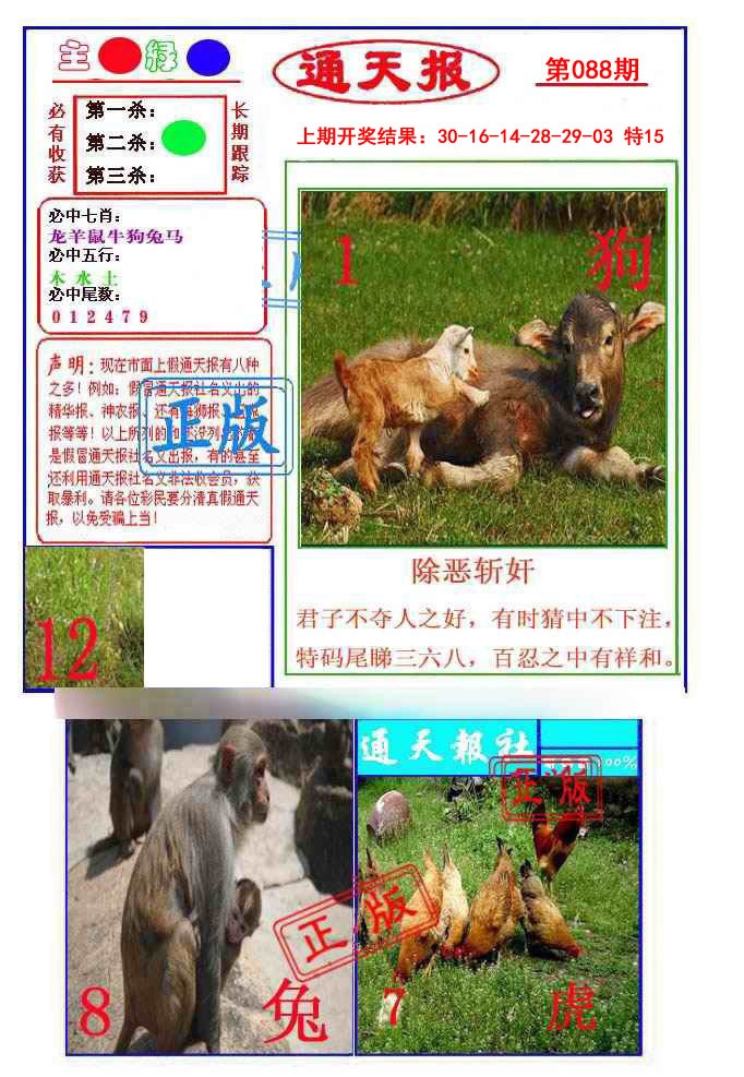 088期通天杀波图1[图]