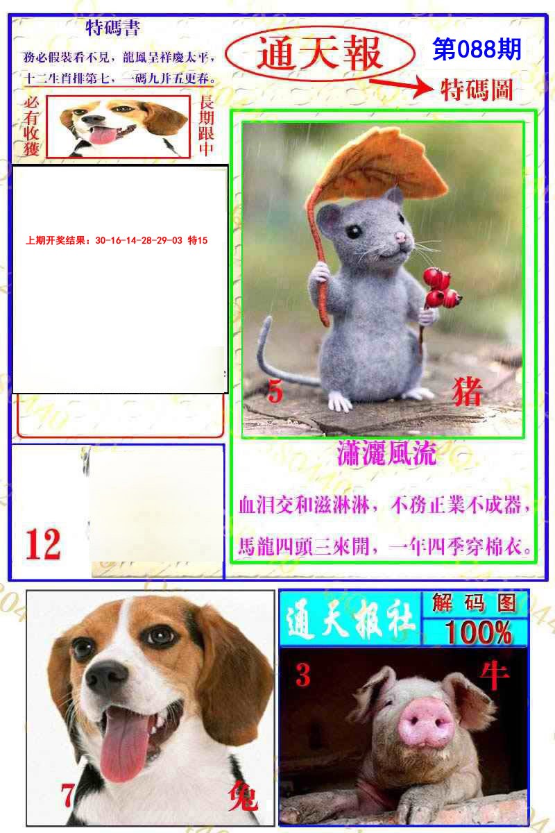 088期通天特解图[图]