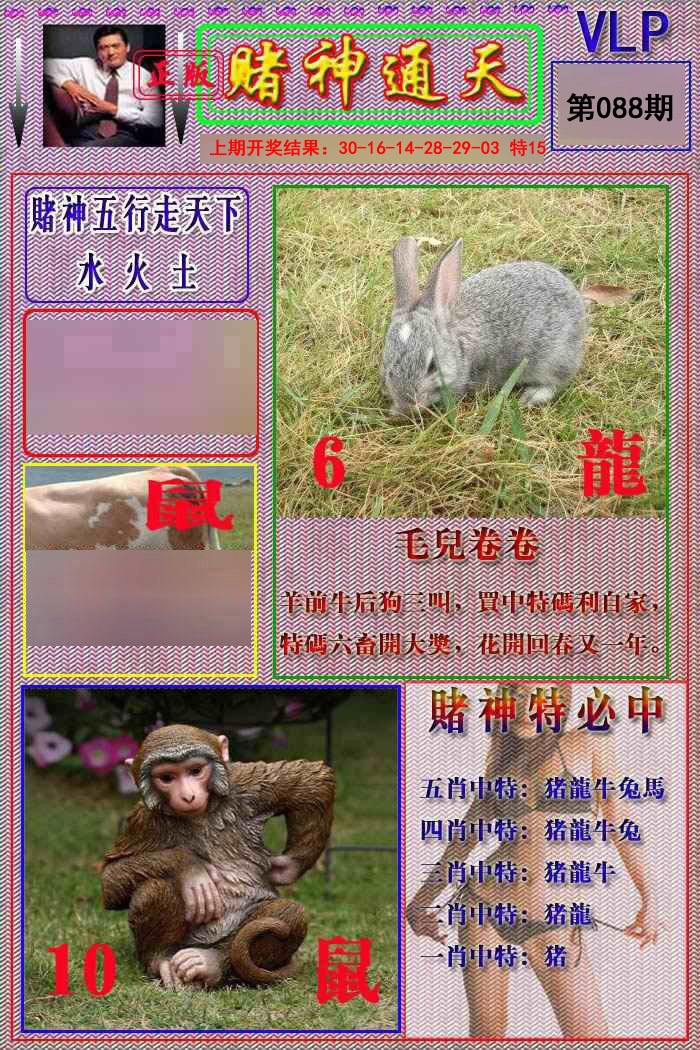 088期赌神通天报[图]