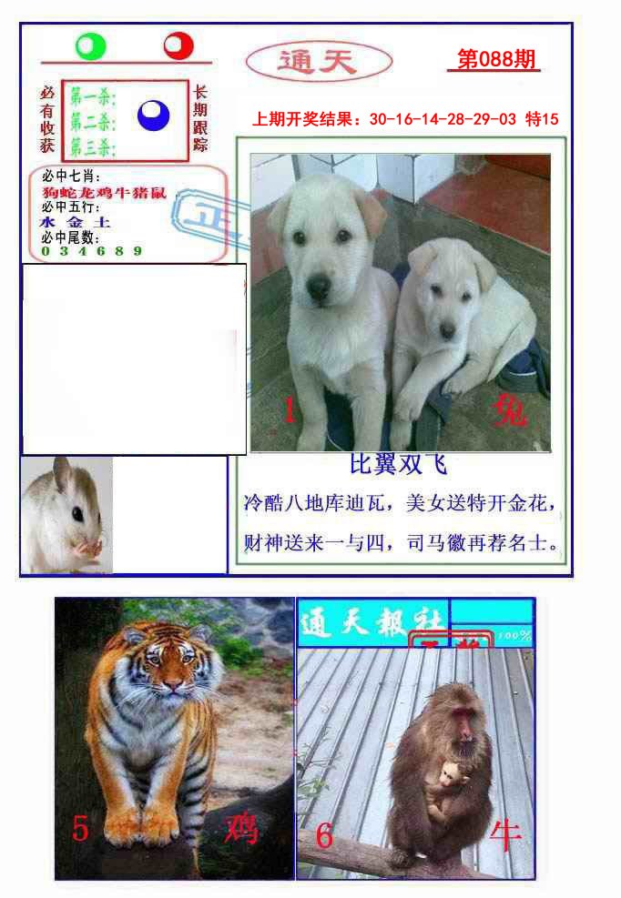 088期通天杀波图2[图]