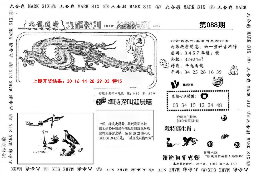 088期九龙特新刊[图]