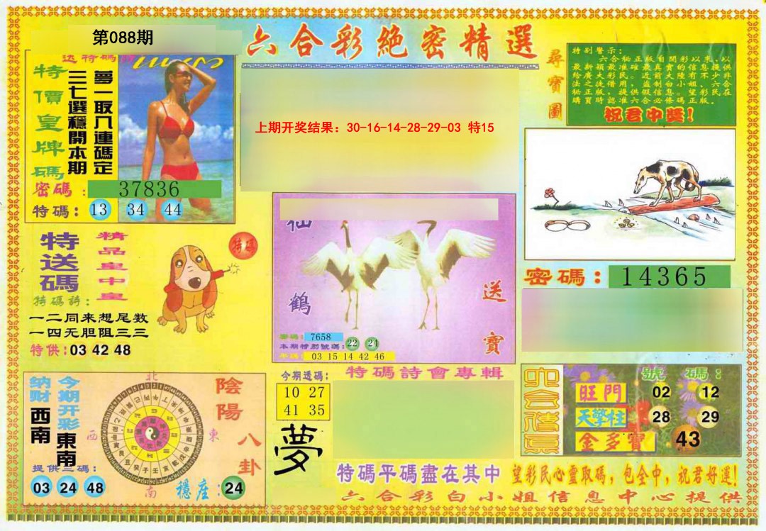 088期绝密精选A[图]