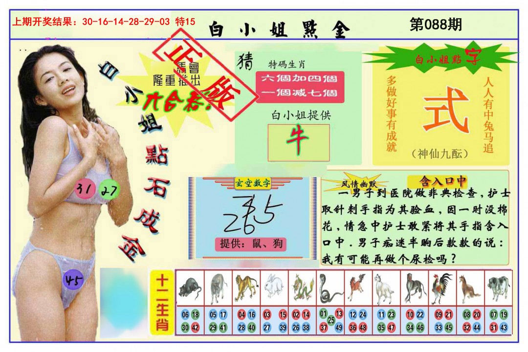 088期白小姐点金[图]