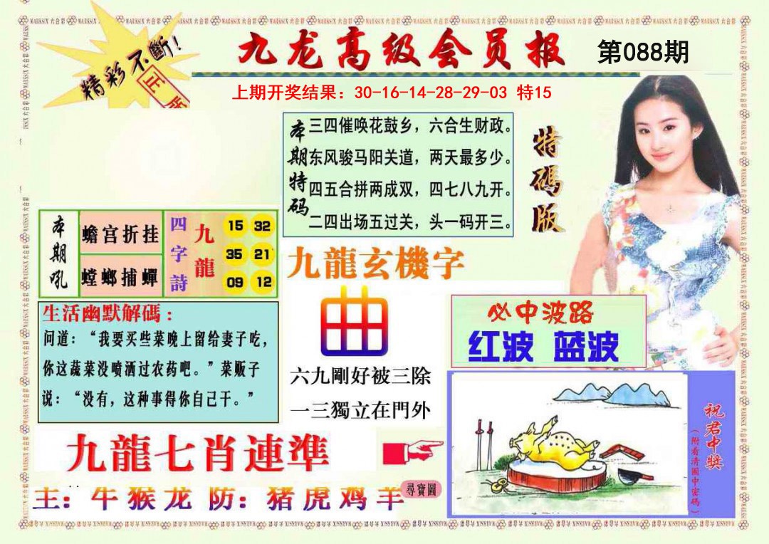 088期九龙高级会员报[图]