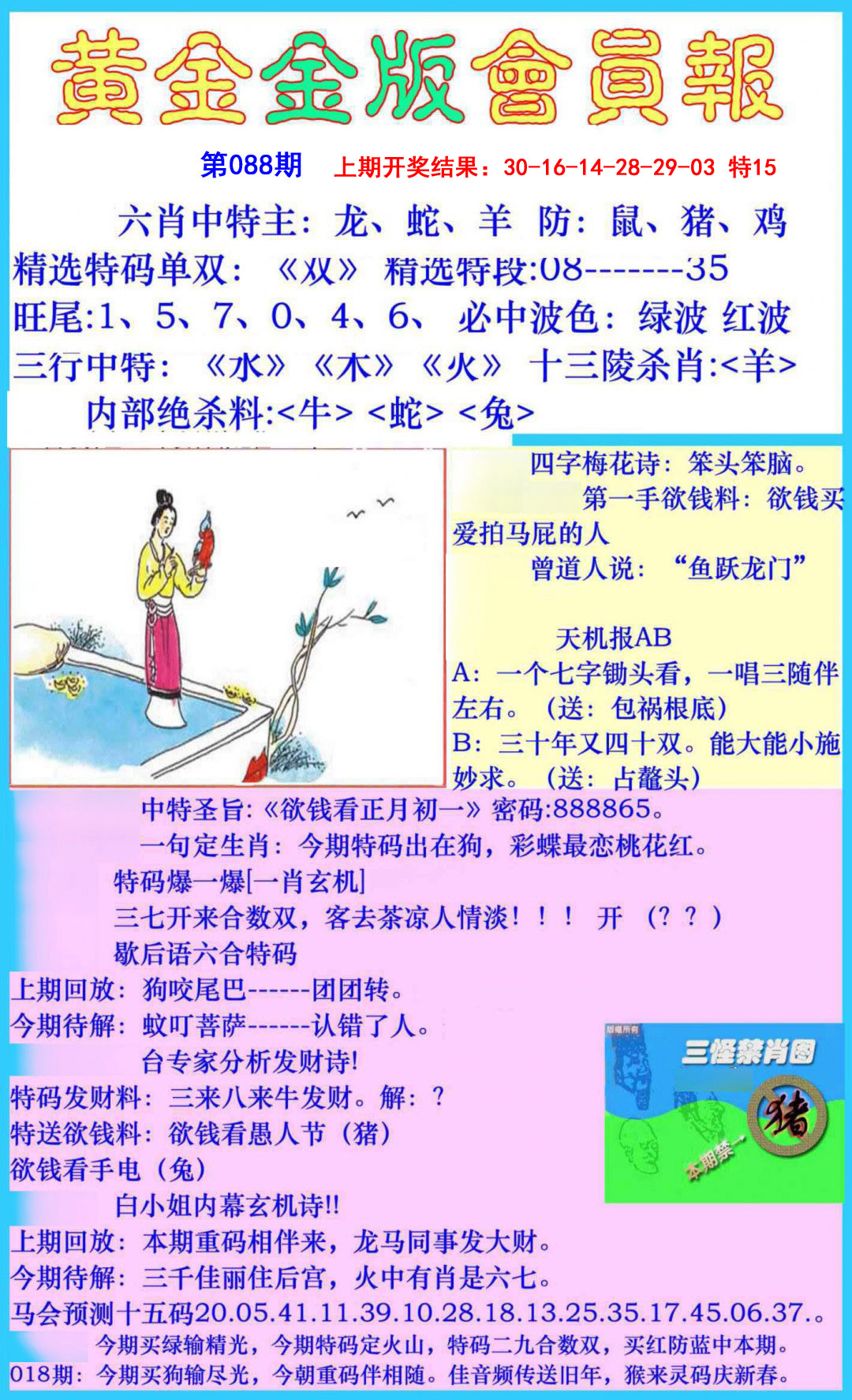 088期黄金金版会员报[图]