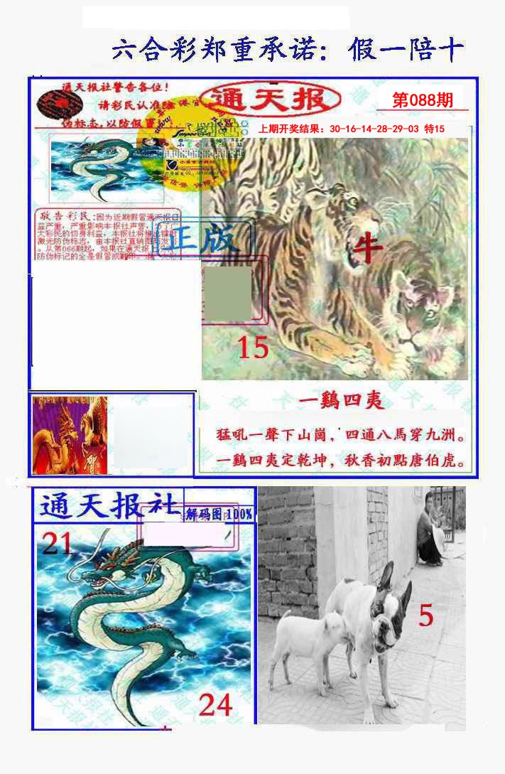088期假一陪十通天报[图]