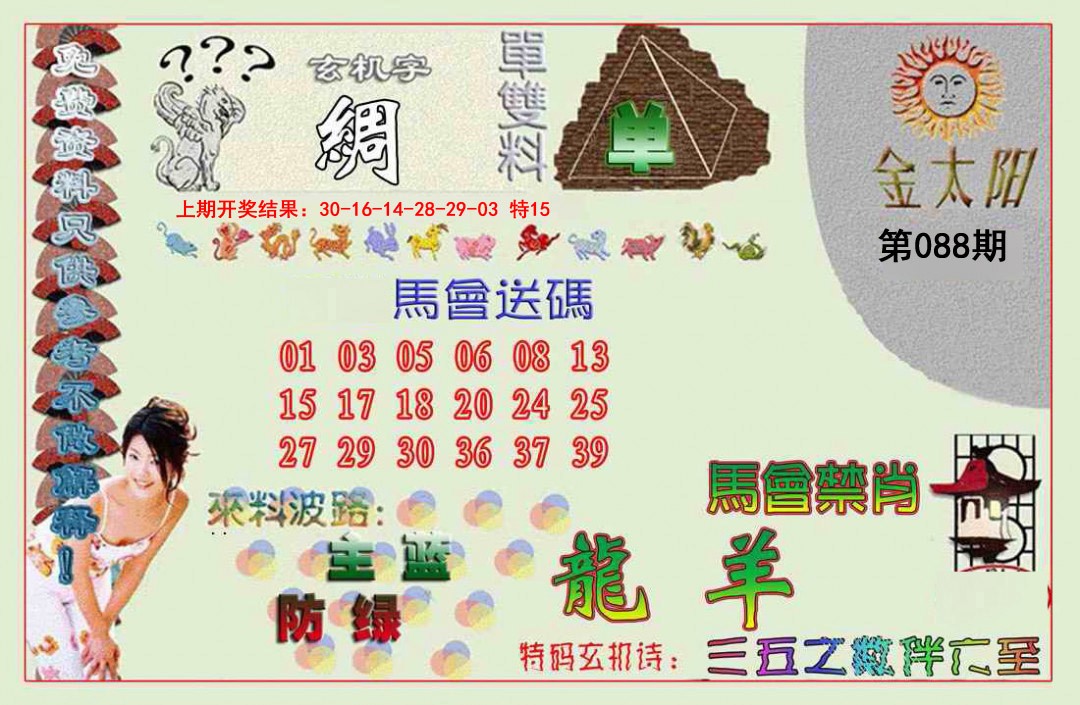 088期金太阳[图]