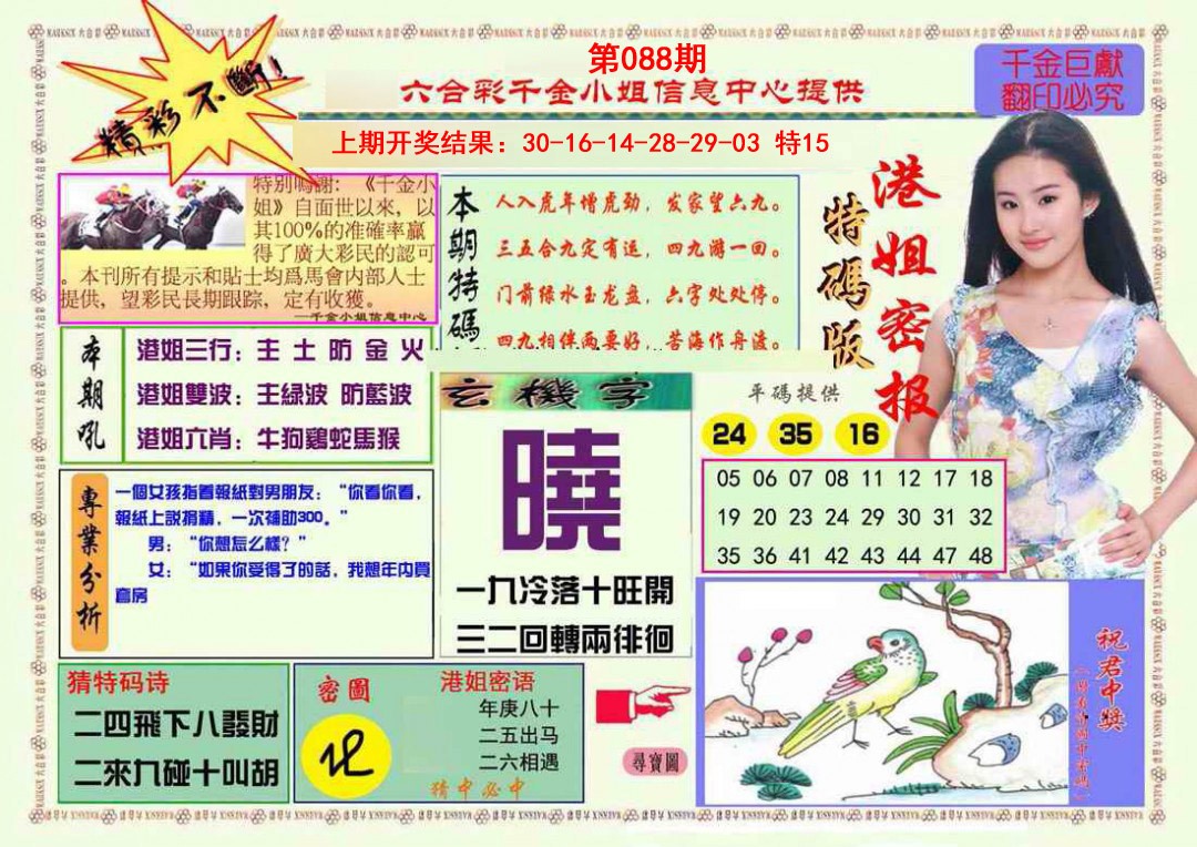 088期港姐密报A[图]