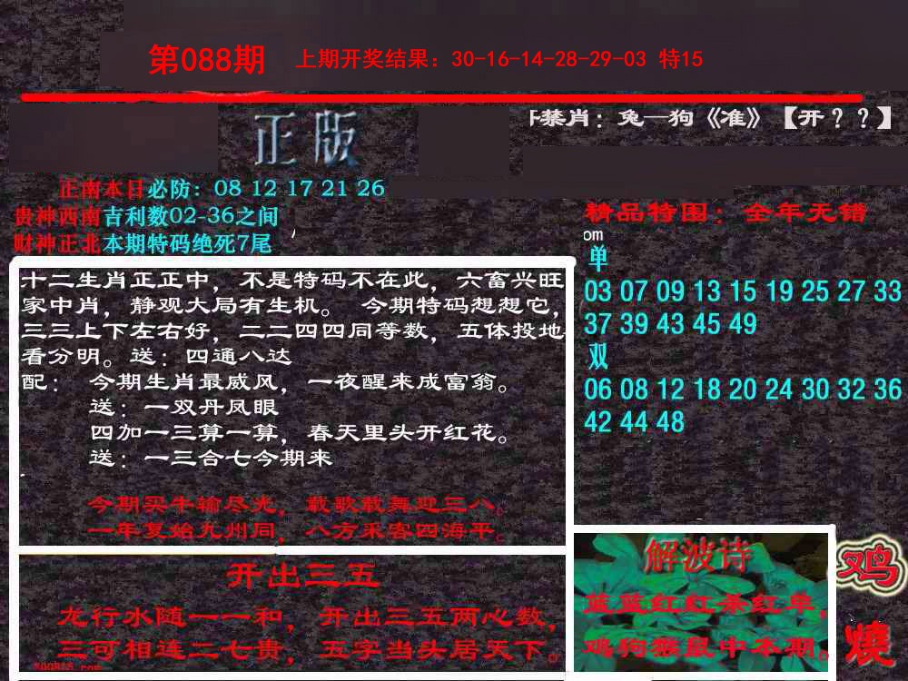 088期新港内幕[图]