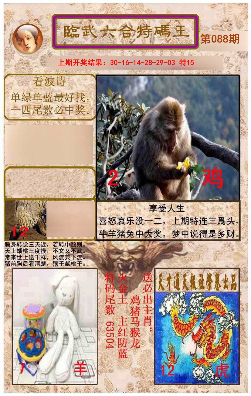 088期临武六合特码王[图]
