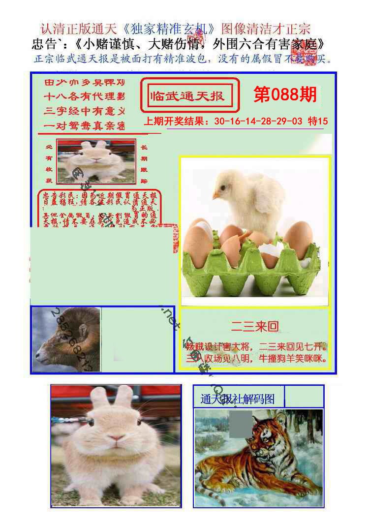 088期临武通天报[图]