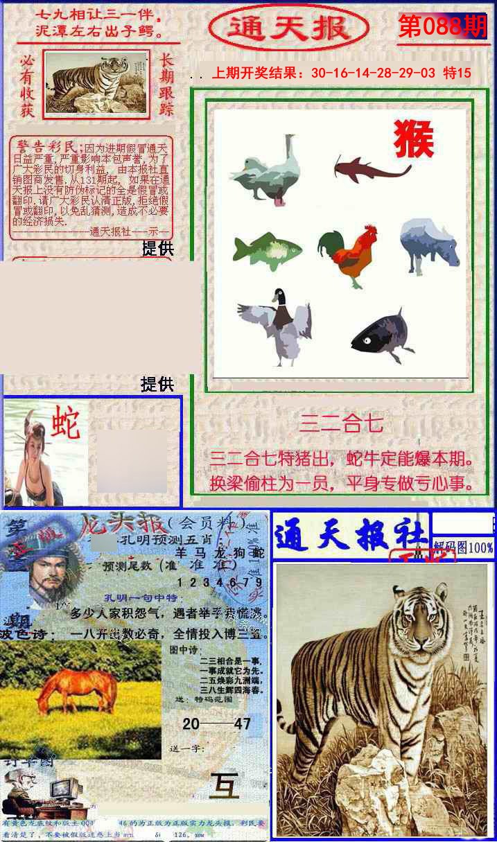 088期实力通天报[图]