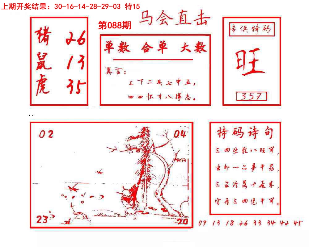 088期马会直击[图]