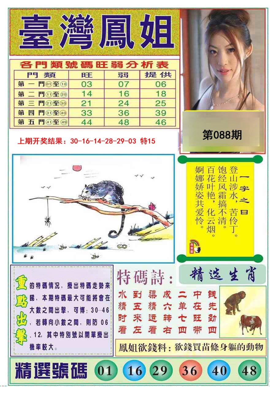 088期台湾凤姐[图]