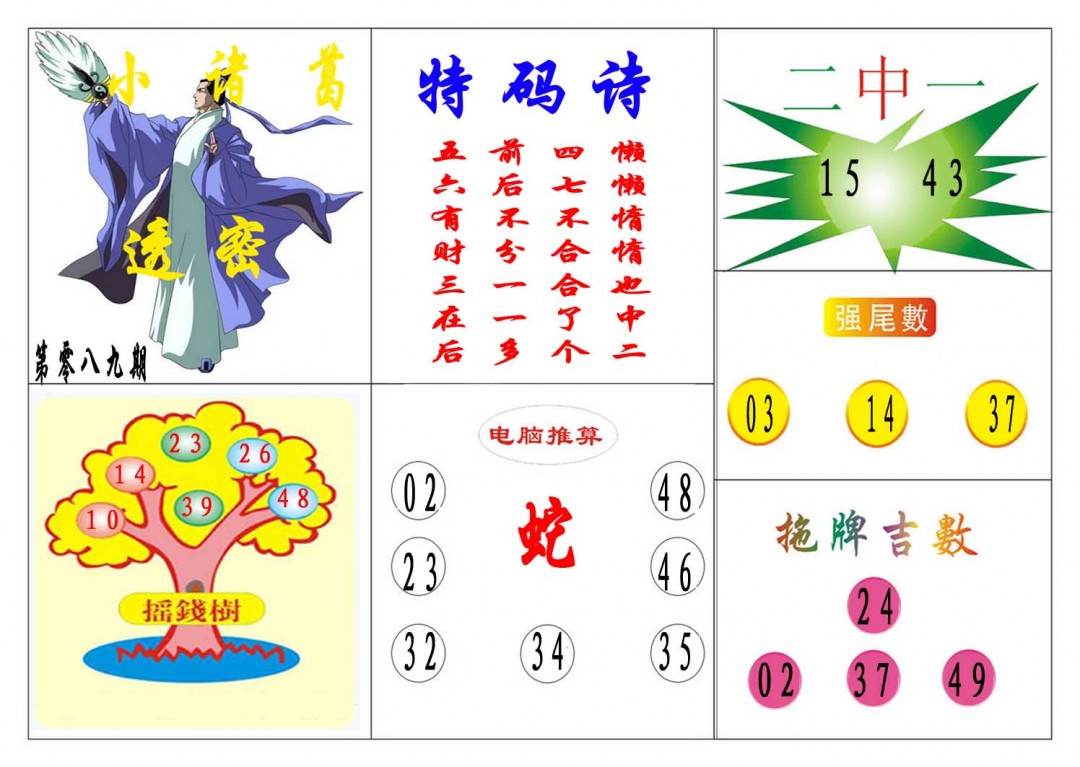 089期小诸葛[图]