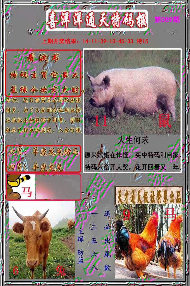 089期洋通报[图]