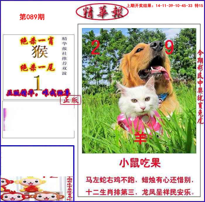 089期新精华报报[图]