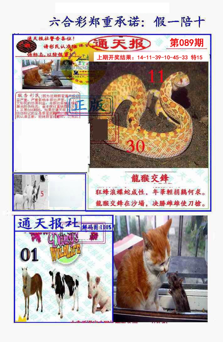 089期假一陪十通天报[图]