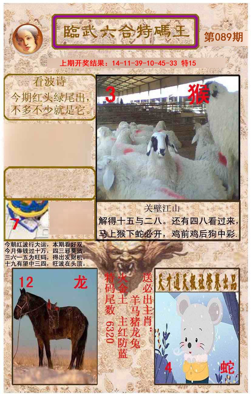 089期临武六合特码王[图]