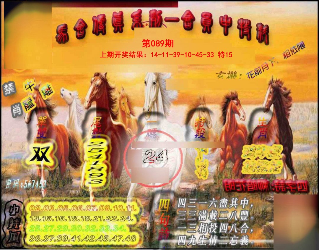 089期马会传真-会员报[图]