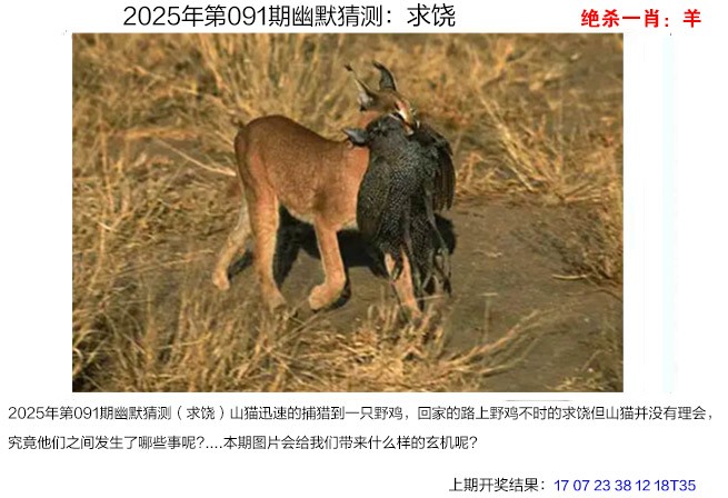 091期幽默猜测[图]